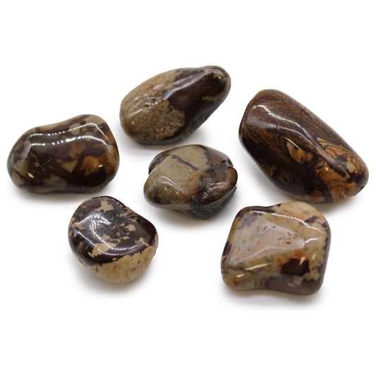 Large African Tumble Stones - Jasper Nguni x 6 - Ashton and Finch
