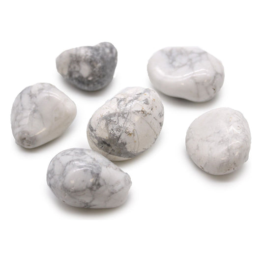 Large African Tumble Stones - White Howlite - Magnesite x 6 - Ashton and Finch