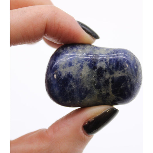 Singular Large African Tumble Stone - Sodalite - Pure Blue x 6 - Ashton and Finch