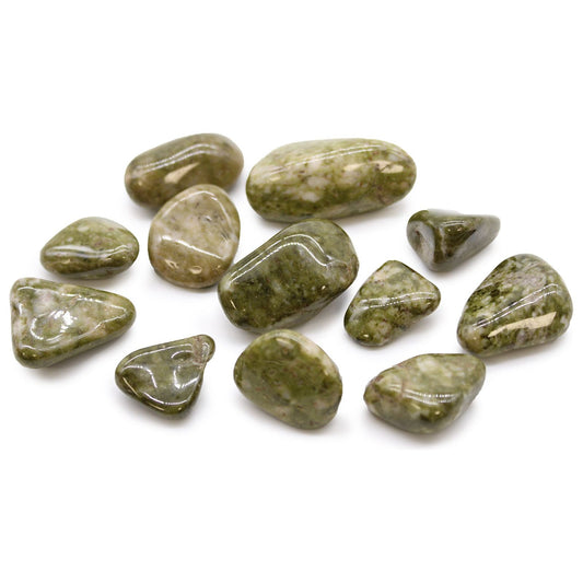 12 x Medium African Tumble Stones - Epidote Snowflake - Ashton and Finch