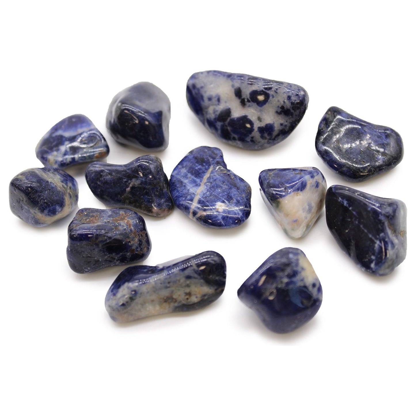 Sodalite - Pure Blue African Tumble Stones 12 x Medium - Ashton and Finch