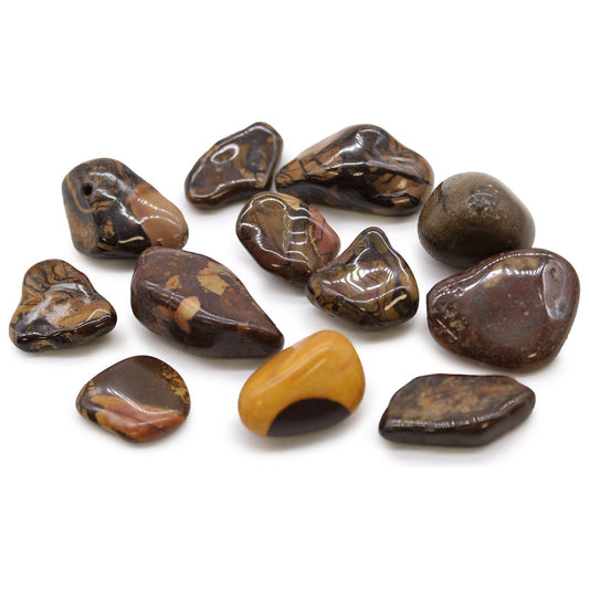 Picture Nguni 12 x Medium African Tumble Stones - Ashton and Finch