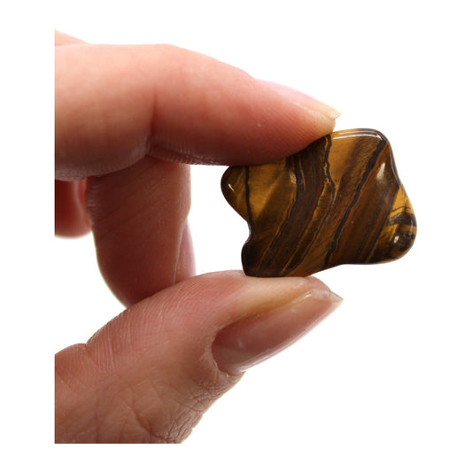 Tigers Eye - Golden 24 x Small African Tumble Stone - Ashton and Finch