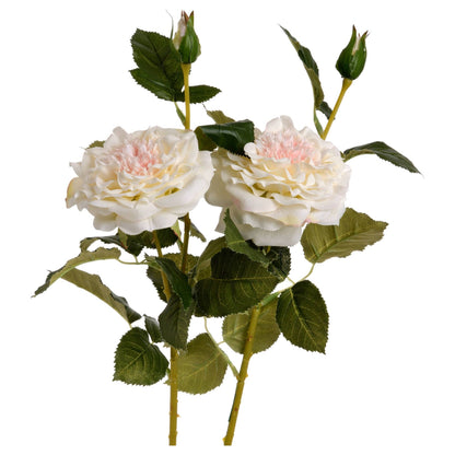 White Garden Rose Spray - Ashton and Finch