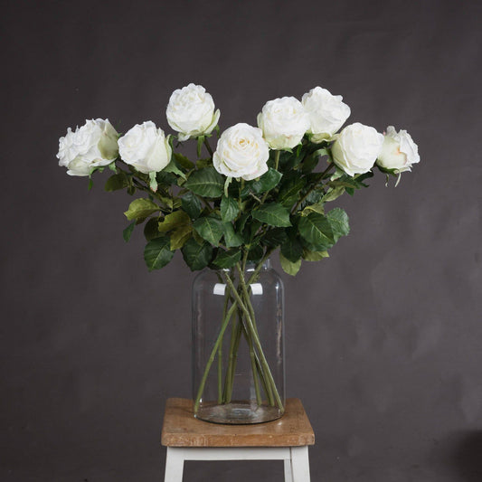 Traditional White Rose - Ashton and Finch