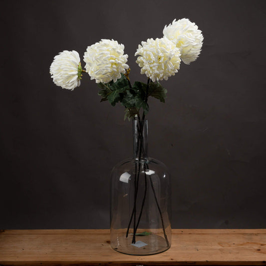 Large White Chrysanthemum - Ashton and Finch