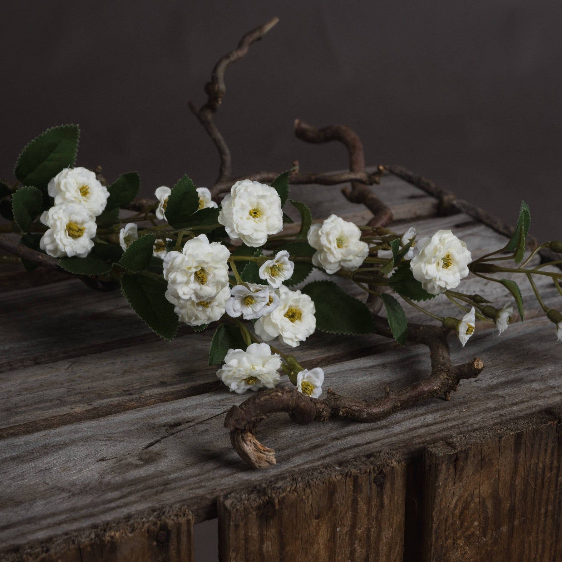 White Wild Meadow Rose - Ashton and Finch