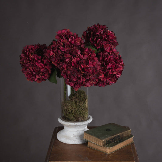Autumn Ruby Hydrangea - Ashton and Finch