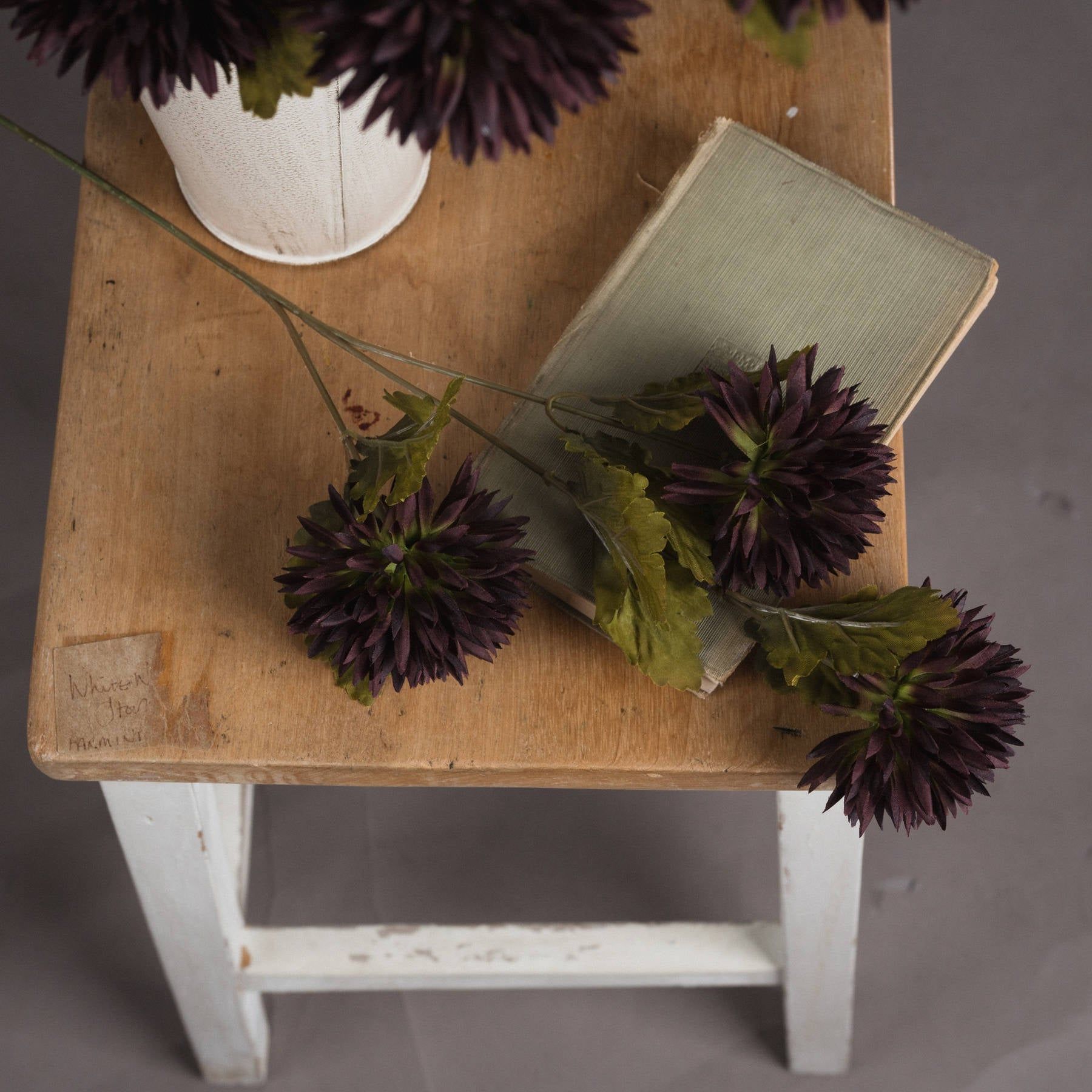 Chocolate Chrysanthemum - Ashton and Finch