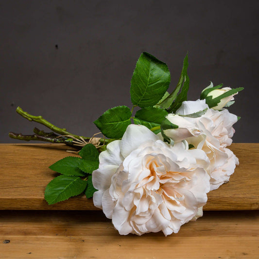 Peachy Cream Short Stem Rose Bouquet - Ashton and Finch