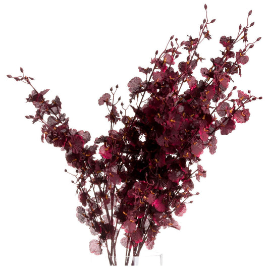 Deep Burgundy Orchid Spray - Ashton and Finch