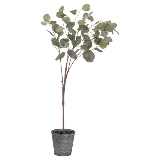 Eucalyptus Tree In Metallic Pot - Ashton and Finch