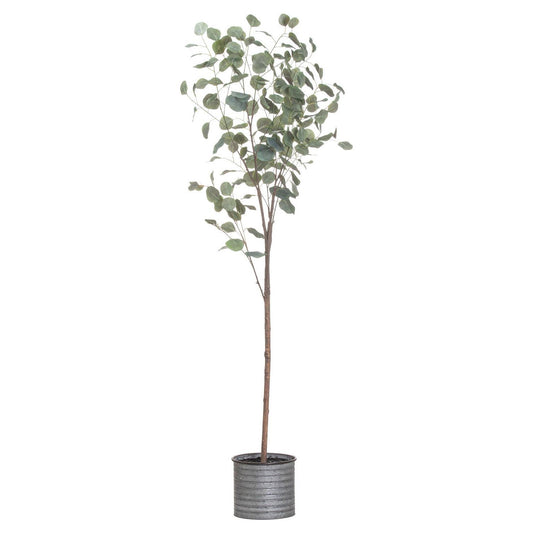 Large Eucalyptus Tree In Metallic Pot - Ashton and Finch