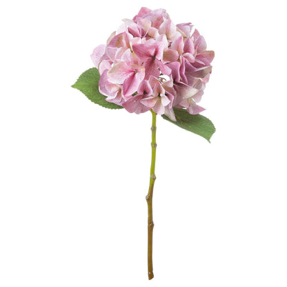 Shabby Pink Single Hydrangea - Ashton and Finch