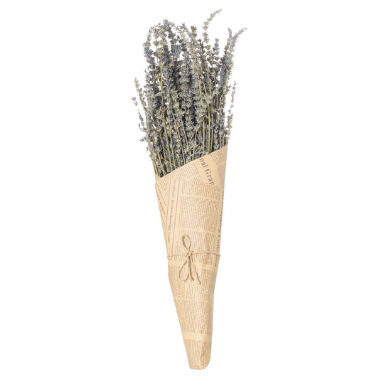 Dried lavender Bunch - Ashton and Finch