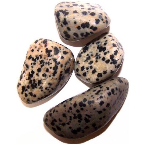 Dalmation Stone 24 x Large Tumble Stones - Ashton and Finch