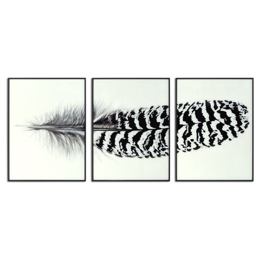 Black Striped Feather Over 3 Black Glass Frames - Ashton and Finch