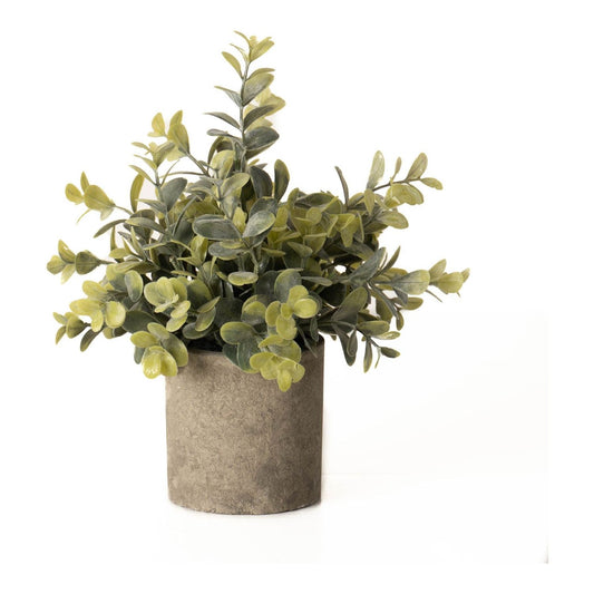 Eucalyptus Plant In Stone Effect Pot - Ashton and Finch