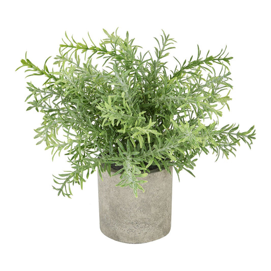 Rosemary Plant In Stone Effect Pot - Ashton and Finch