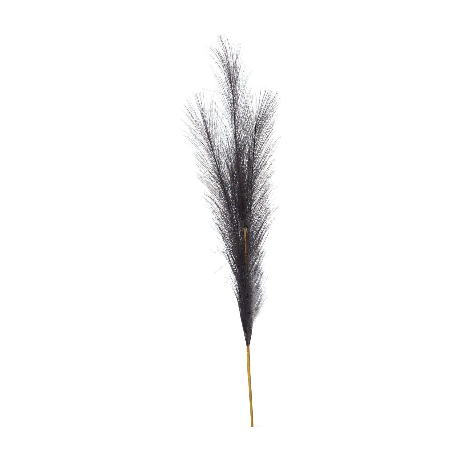 Grey Faux Pampas Grass Stem - Ashton and Finch