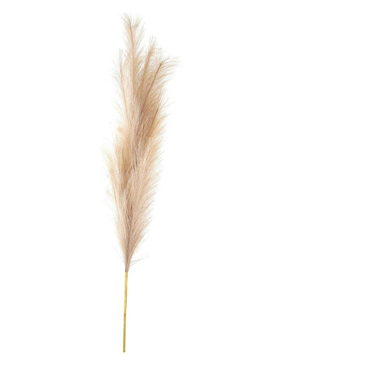 Bleached  Large Faux Pampas Grass Stem - Ashton and Finch