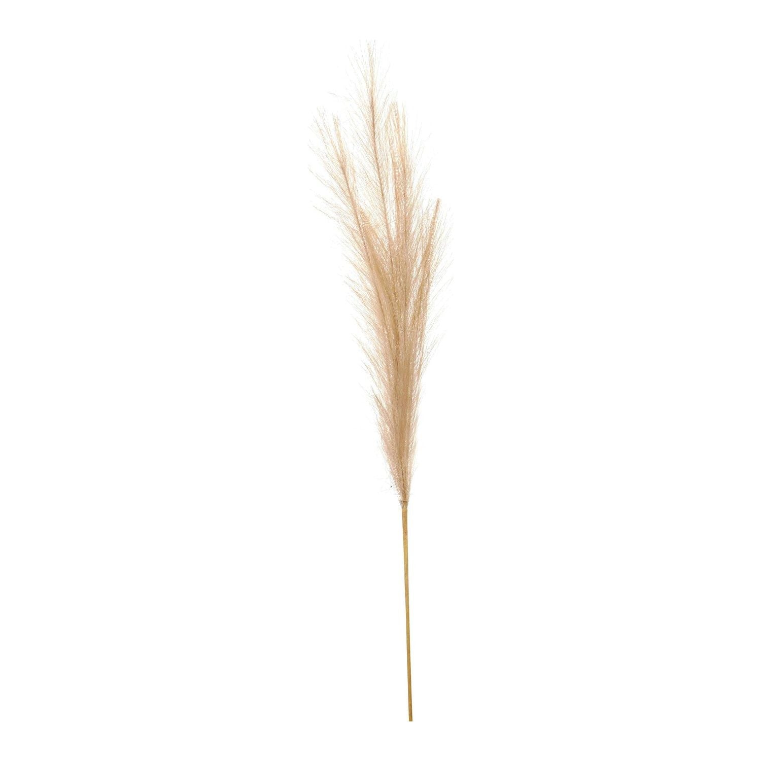 Bleached Faux Pampas Grass Stem - Ashton and Finch