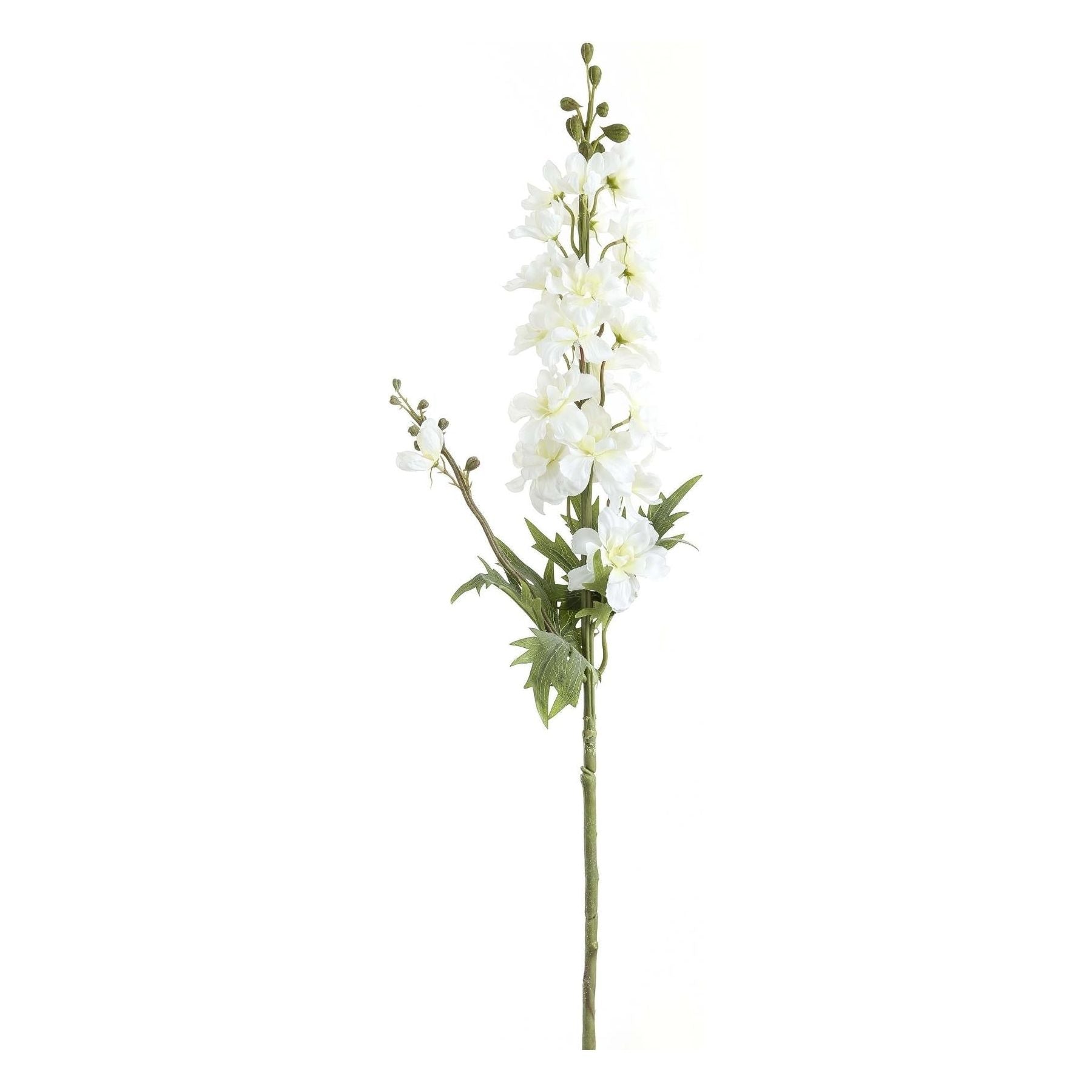 Tall White Delphinium Stem - Ashton and Finch