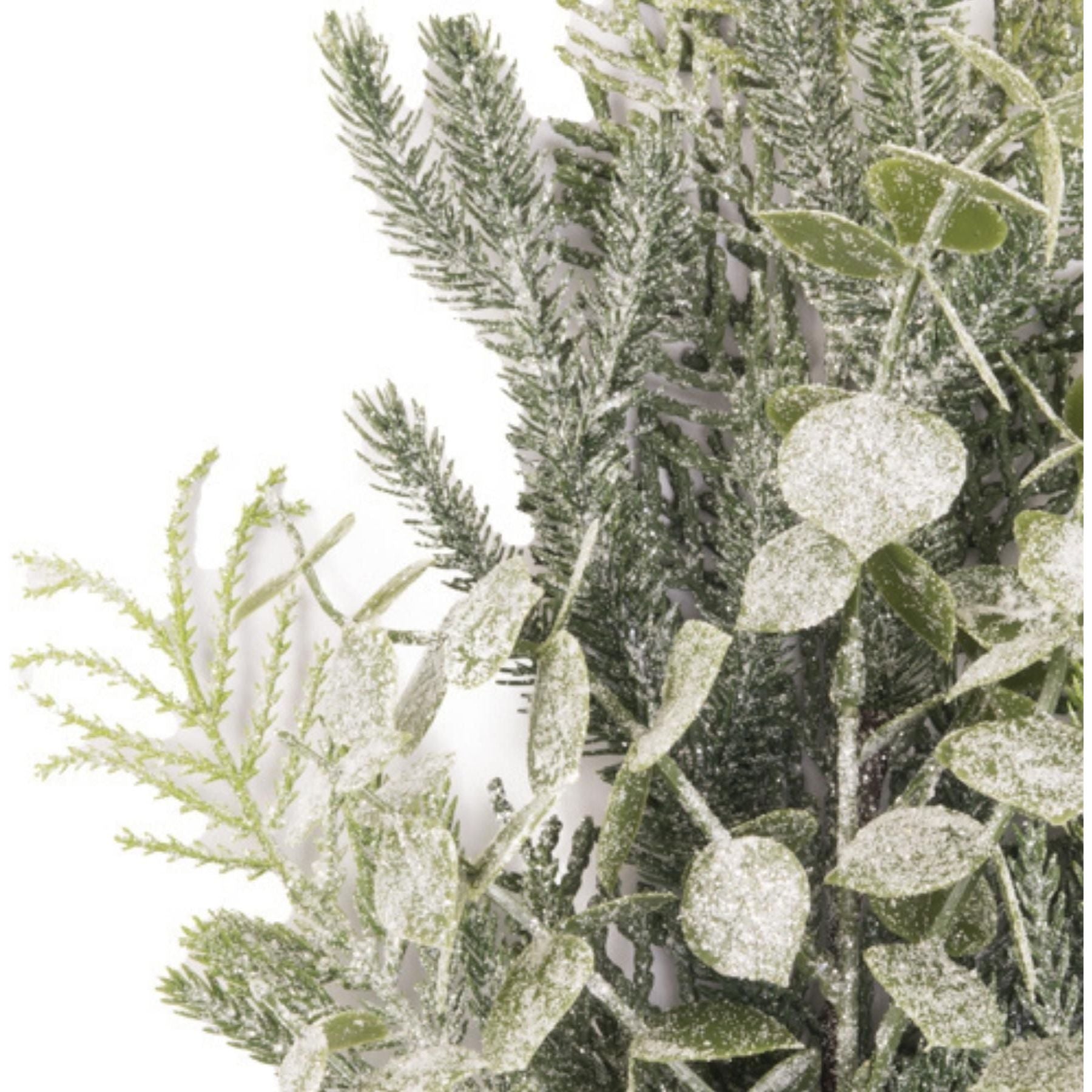 Frosted Eucalyptus And Fern Sprig - Ashton and Finch