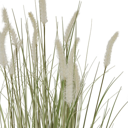 Large Bunny Tail Grass - Ashton and Finch