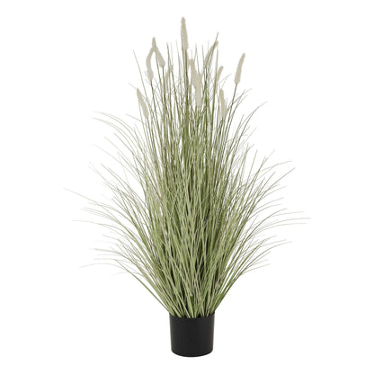 Large Bunny Tail Grass - Ashton and Finch