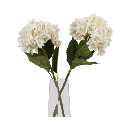 White Hydrangea Stem - Ashton and Finch