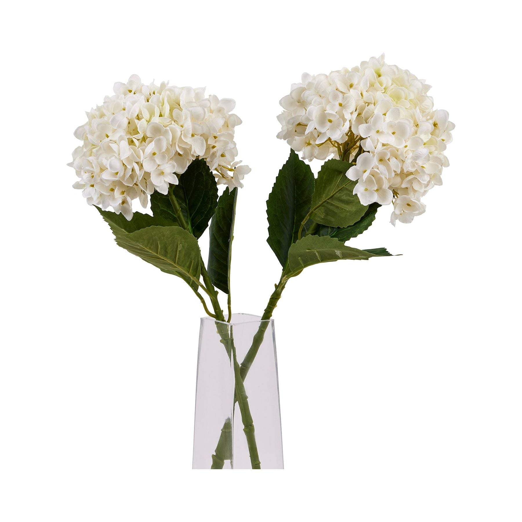 White Hydrangea Stem - Ashton and Finch