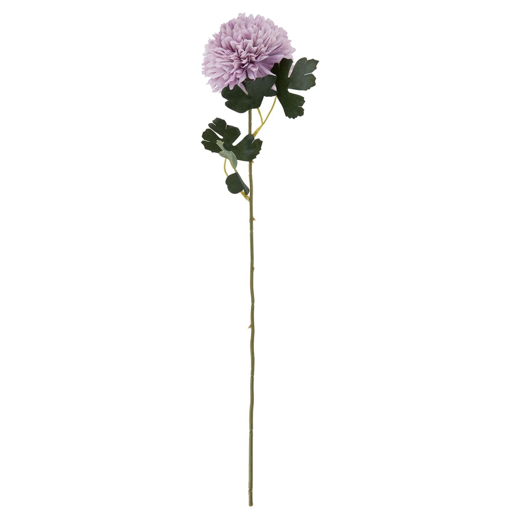 Light Purple Chrysanthemum - Ashton and Finch