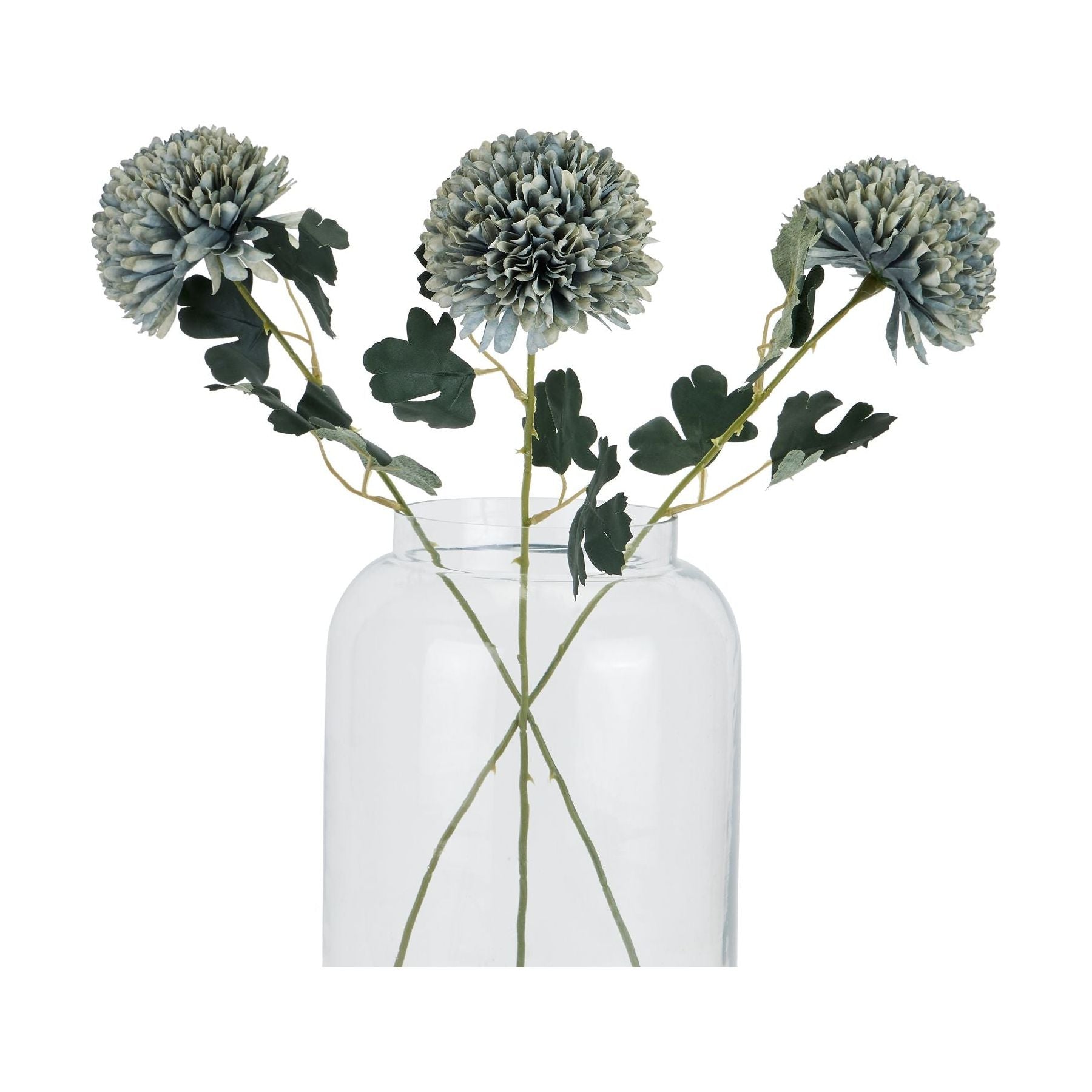 Pale Green Blue Chrysanthemum - Ashton and Finch