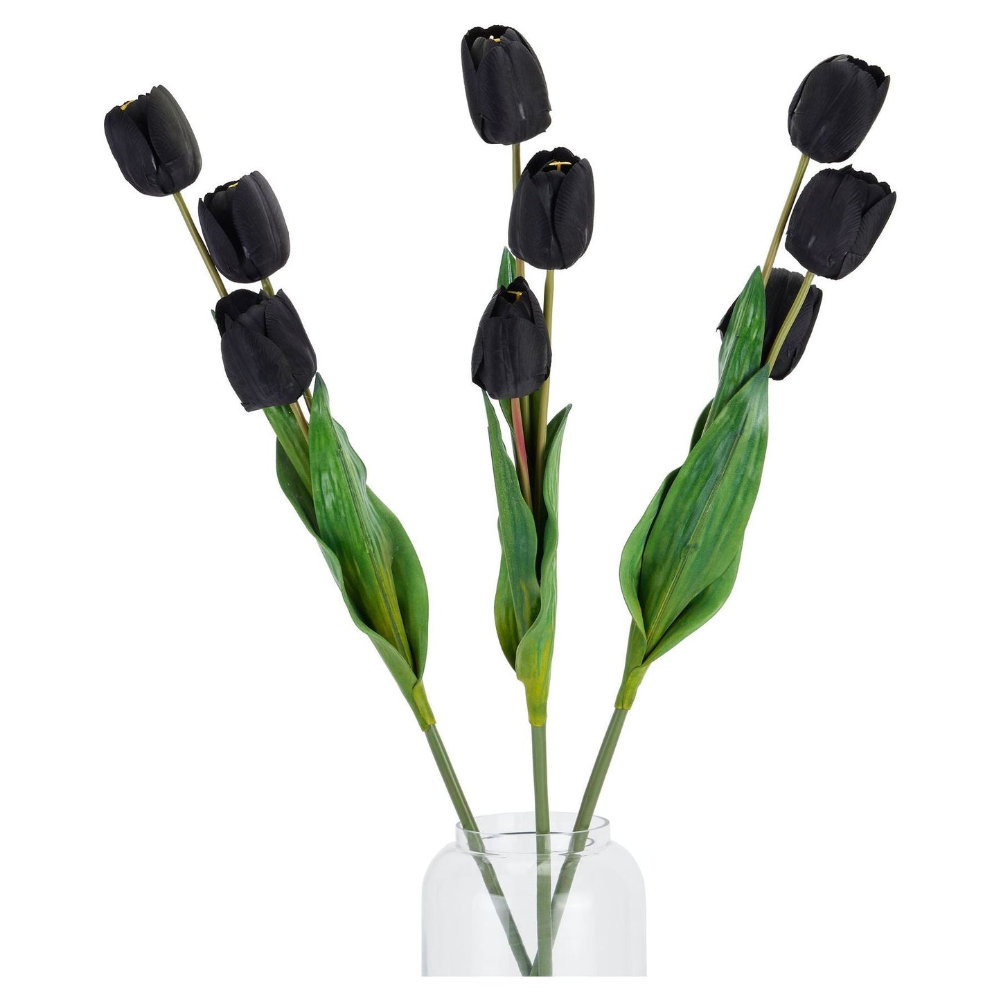 Tall Black Triple Tulip Stem - Ashton and Finch