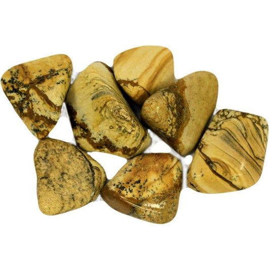 Kalahari Desert Stone 24 x Large Tumble Stones - Ashton and Finch