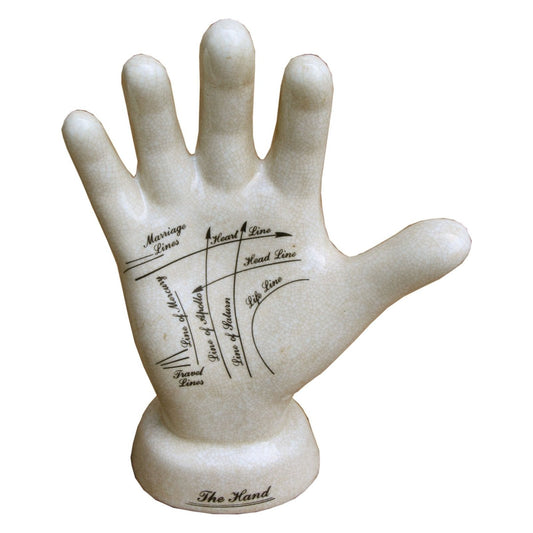 Ceramic Palmistry Hand 24cm - Ashton and Finch