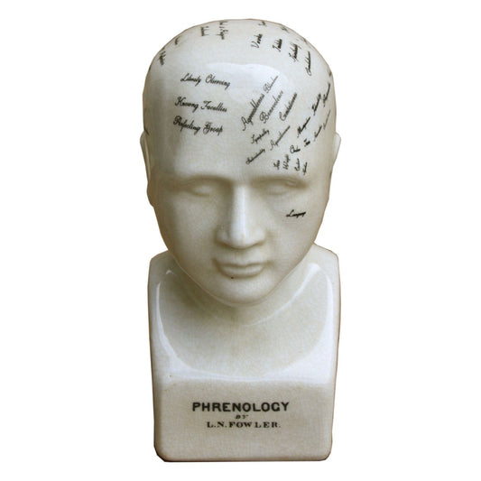 Small Ceramic Phrenology Head 19cm - Ashton and Finch