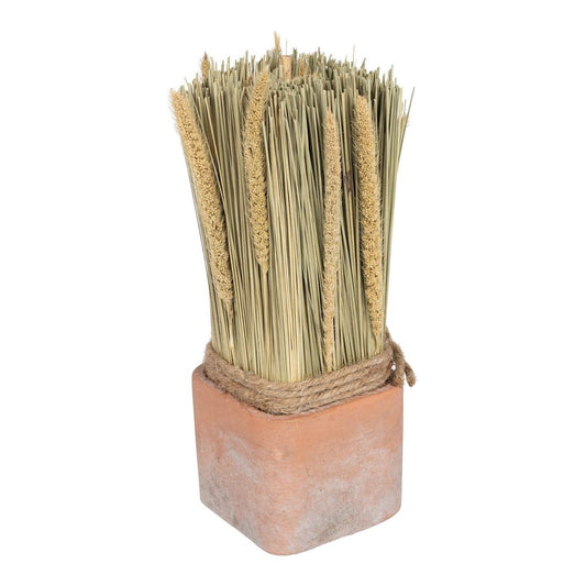 Corn Dried Grass Bouquet in Terracotta Pot - Large - Ashton and Finch