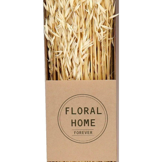 Decorative Dried Oats 60cm - Ashton and Finch