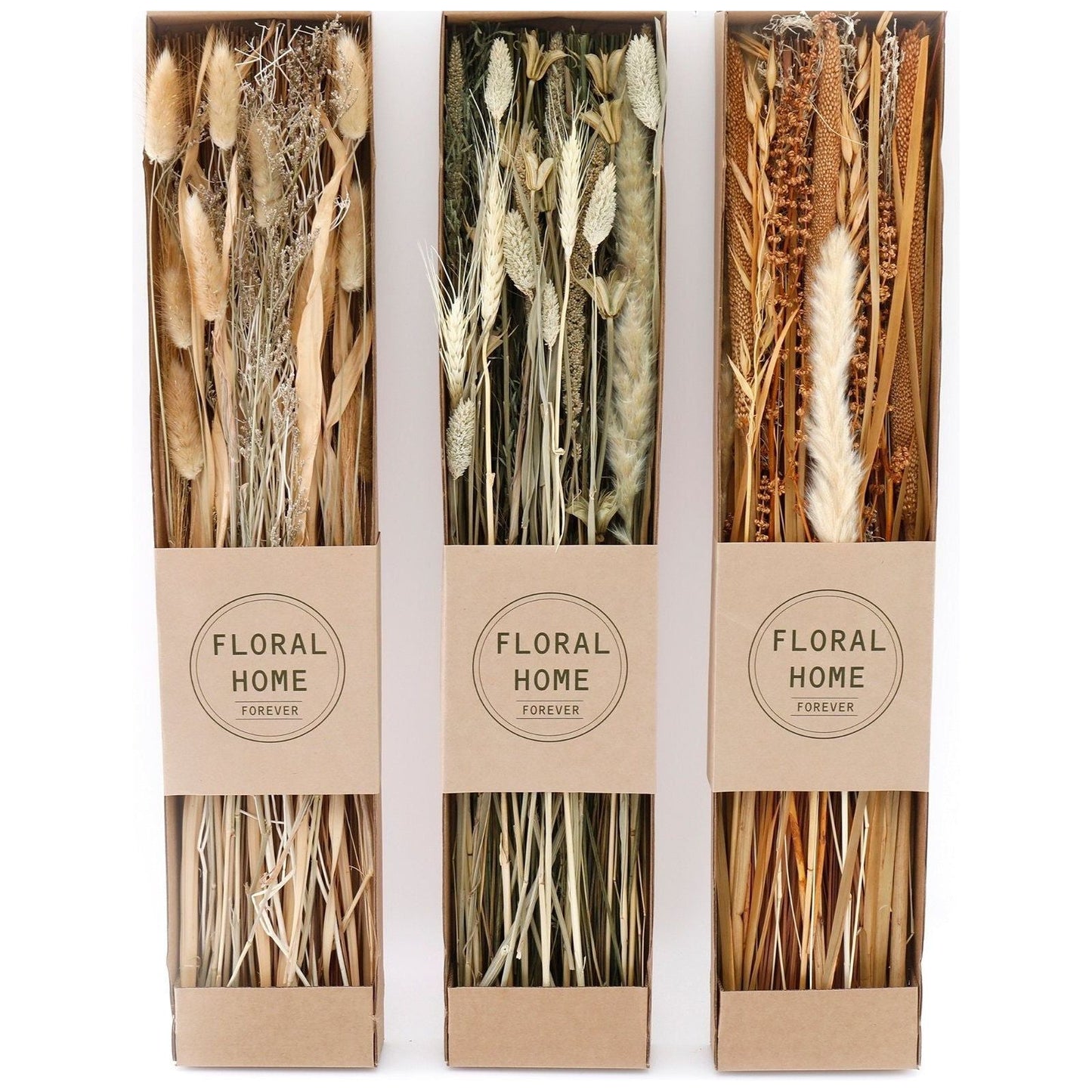 Set of 3 Dried Grasses in Display Box - Ashton and Finch