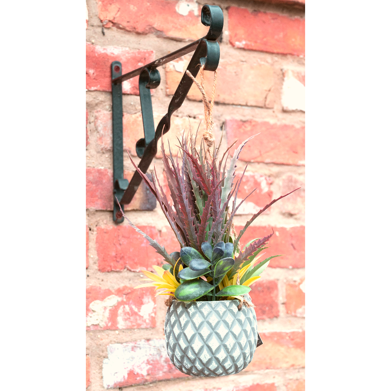 Hanging Succulents in Lattice Design Small Grey Pot - Ashton and Finch