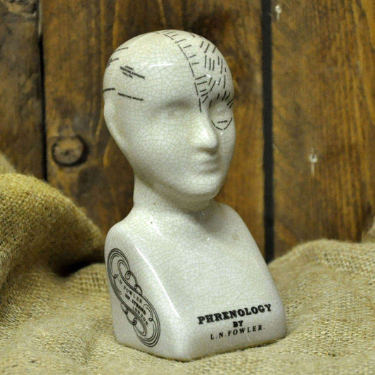 Ceramic Phrenology Head 17cm - Ashton and Finch