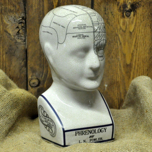 Ceramic Phrenology Head 20cm - Ashton and Finch