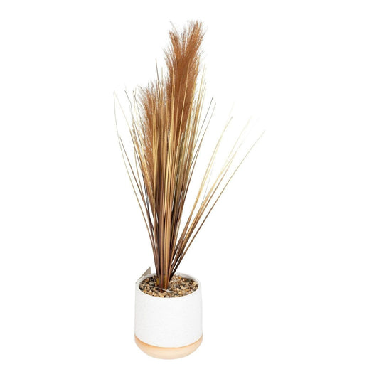 Artificial Grasses In A White Pot With Brown Feathers - 50cm - Ashton and Finch