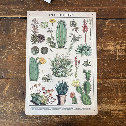 Vintage Metal Sign - Retro Cacti & Succulents Identification Picture - Ashton and Finch