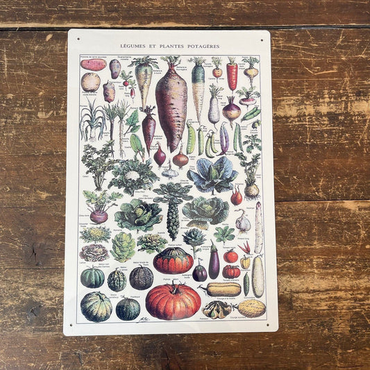 Vintage Metal Sign - Vintage Botanical Kitchen Vegetables Sign - Ashton and Finch