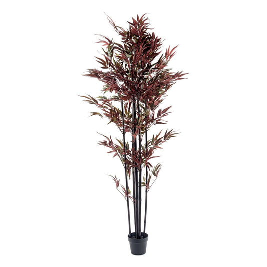 Bamboo Tree Red & Green 180cm - Ashton and Finch