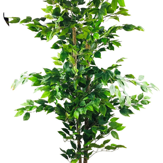 Artificial Ficus Tree With Pot 1.8m - Ashton and Finch
