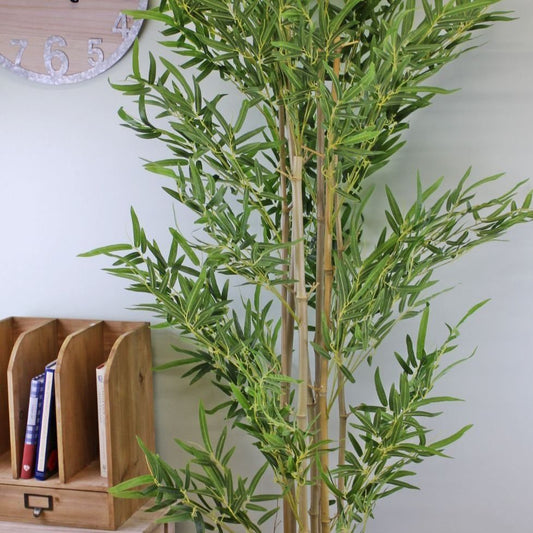 Artificial Bamboo Tree with 7 Real Bamboo Stems, 200cm - Ashton and Finch
